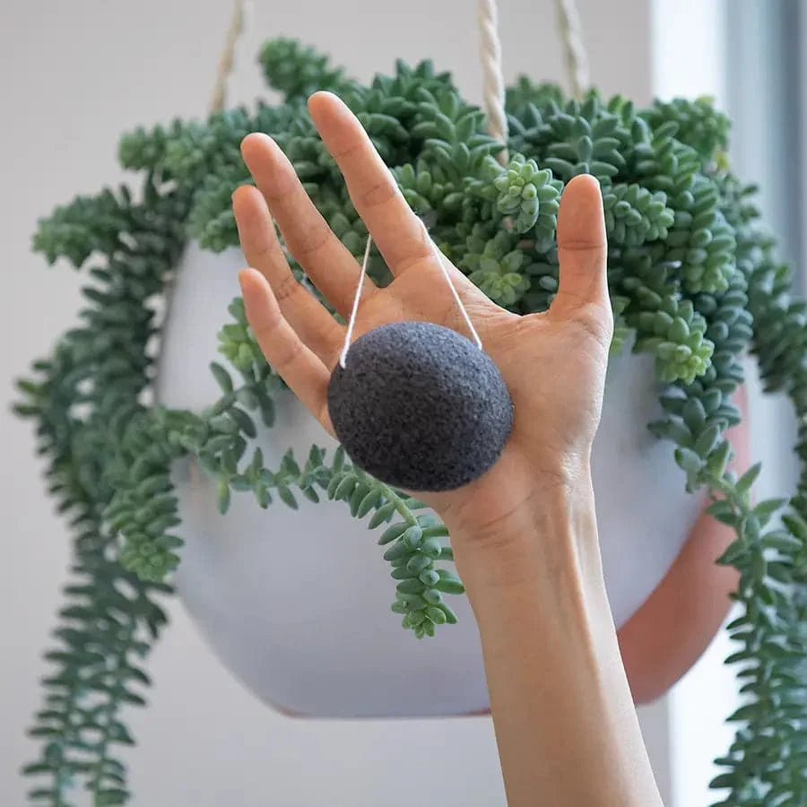 Konjac Facial Sponge - Charcoal
